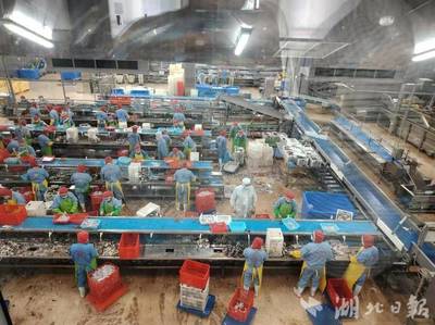 新理念、新模式、新產(chǎn)業(yè)--嘉魚縣水產(chǎn)養(yǎng)殖轉(zhuǎn)型升級創(chuàng)新模式