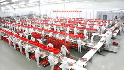 河南雙匯投資發(fā)展股份