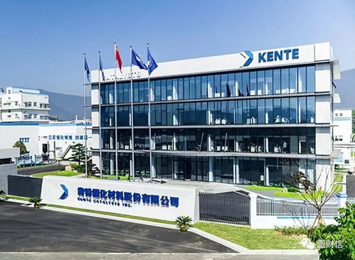 肯特催化戰(zhàn)略失衡 重銷售管理輕研發(fā)，技術(shù)開發(fā)人員薪酬雙標引關(guān)注