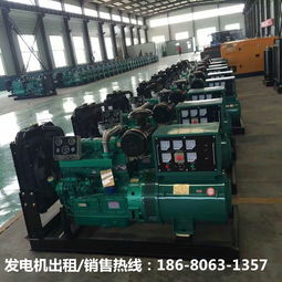 昌都發(fā)電機(jī)出租銷售公司的技術(shù)開發(fā)之路 服務(wù)高原電力的可靠基石